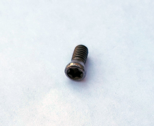 Screw for MSSCF or SSSCF - Mid Size or Simple Start Simple Shear Cutting Finisher