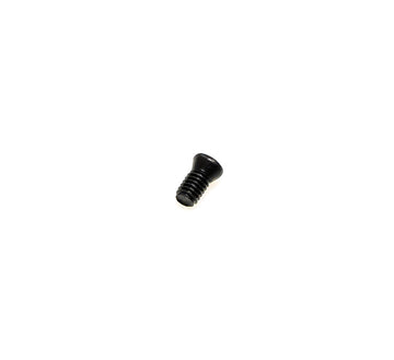 Replacement screw for Simple 55 Detailer